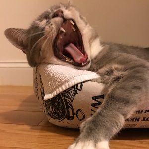 Meet your Posher, Andrea